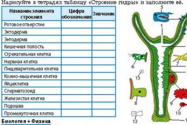 Зайти на кракен тор